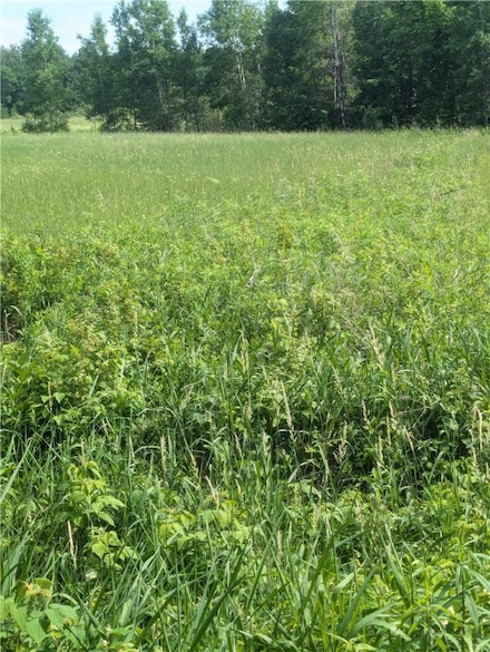 Lot 2 165th Ave, Colburn, WI 54768