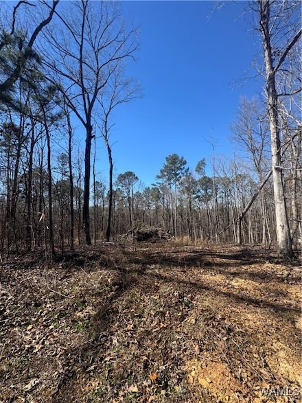 0 Rosser Ln Unit 167373, McCalla, AL 35111