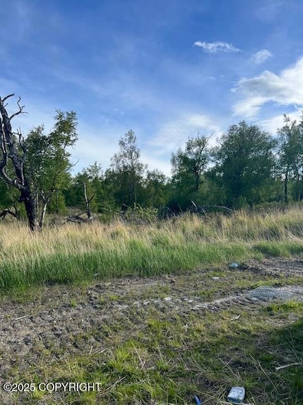 L4 B7 E Blue Atlas Cir, Palmer, AK 99645