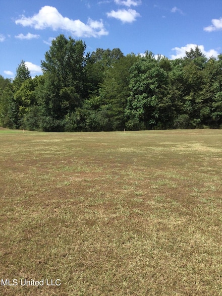 0 Rowell Rd Unit 4089133, Coldwater, MS 38618