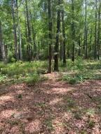 0 White Sands Rd Unit 25004142, Walterboro, SC 29488