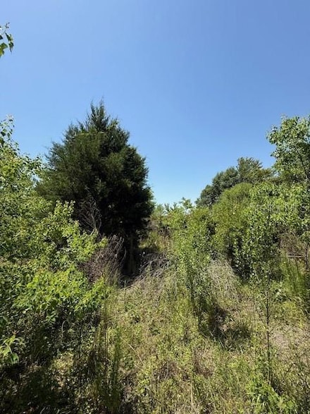 17918 NE Us Highway 301, Waldo, FL 32694