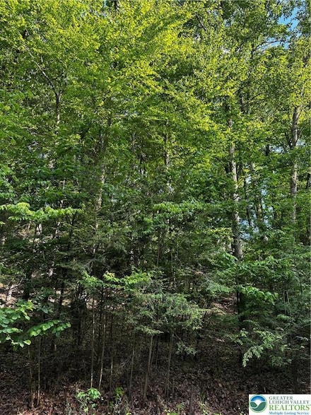 0 September Unit Lot 46 759392, East Stroudsburg, PA 18301