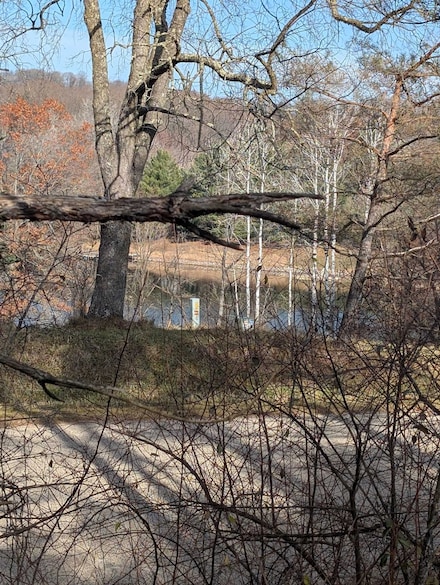 L221 Black Forest Dr, Woodland, WI 53941