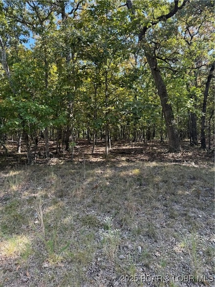 Lot 979 Bobcat, Four Seasons, MO 65049