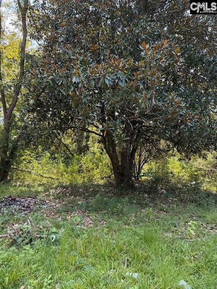 0 Cotton St, Denmark, SC 29042