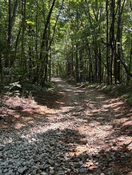 1551 Star Point Rd, Celina, TN 38551