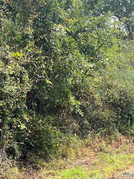 TBD Shady Grove Rd, Jefferson, TX 75657