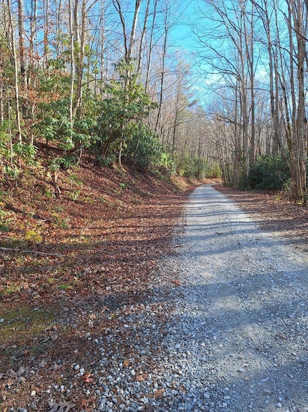 1104 SR Mill Creek, Robbinsville, NC 28771