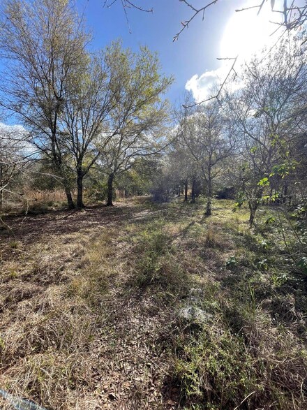 16908 NW 256th St, Okeechobee, FL 34972