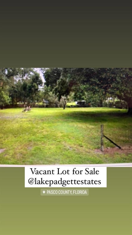 3753 Saint Augustine Place, Land O' Lakes, FL 34639