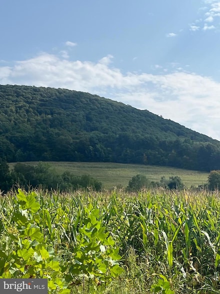 0 Ridge Rd, Klingerstown, PA