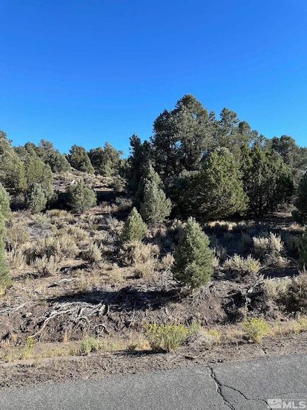 2531 Cartwright Rd, Reno, NV 89521