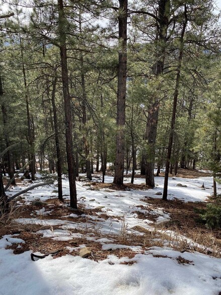 Lot 13 Snowmass Rd, Angel Fire, NM 87710