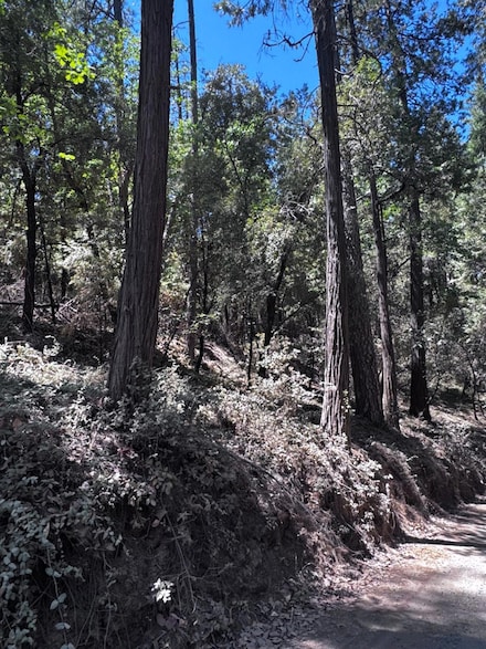 14763 Mitchell Mine Rd, Pine Grove, CA 95665