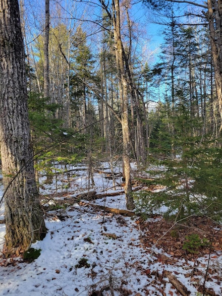 M6L37 Savery Rd, Searsport, ME 04974