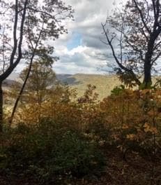 Lot 84 Buckeye Ln, Wilder, TN 38589