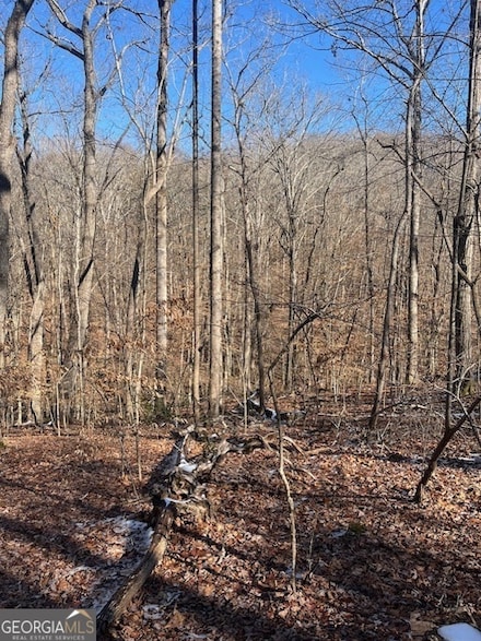 LOT 2171 N Sundew Dr, Chickasaw Point, SC 29693