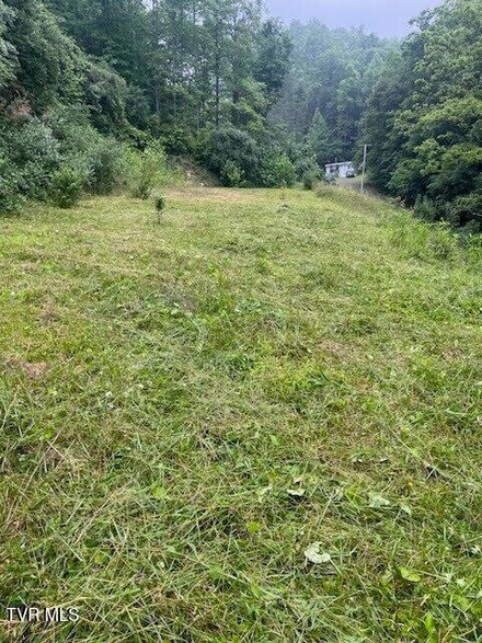 819 Doe Branch, Haysi, VA 24256