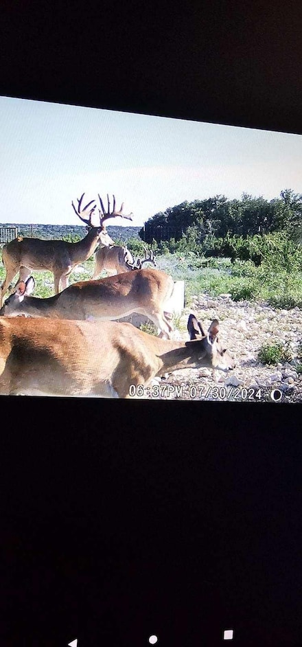 3572 Ranch Road 2083, Ozona, TX 76943