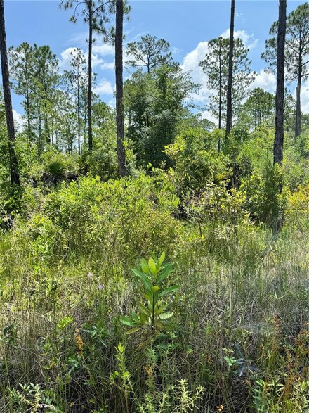 205 Deer Run Rd, Satsuma, FL 32189