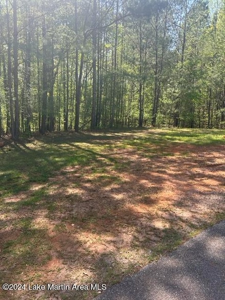 lot 26/30 Aberdeen Rd, Dadeville, AL 36853