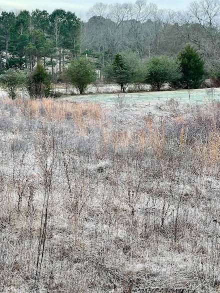 xx Hill St, Amity, AR 71921
