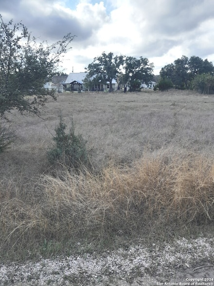 123 Antonio Perez, Blanco, TX 78606
