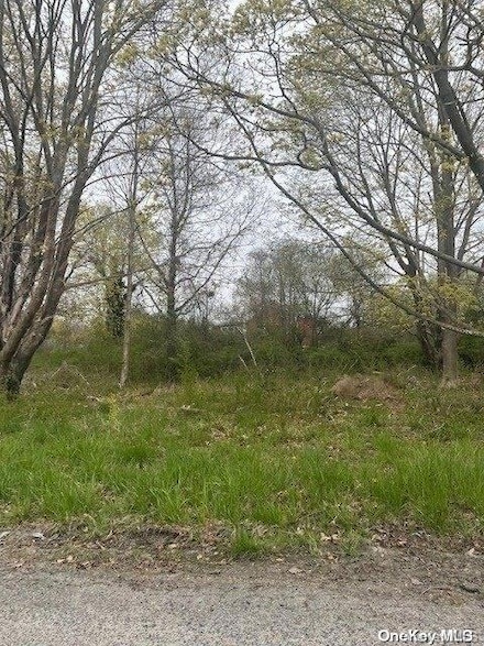 V/L Hickory Rd, Mastic Beach, NY 11951