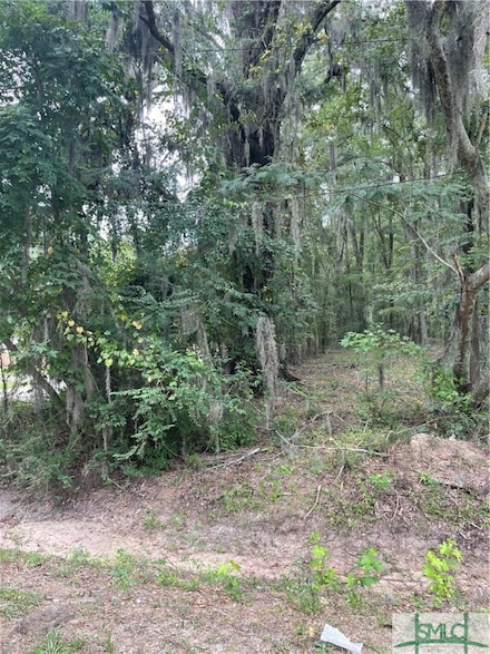 0 Big Hill Rd Unit 319151, Savannah, GA 31408