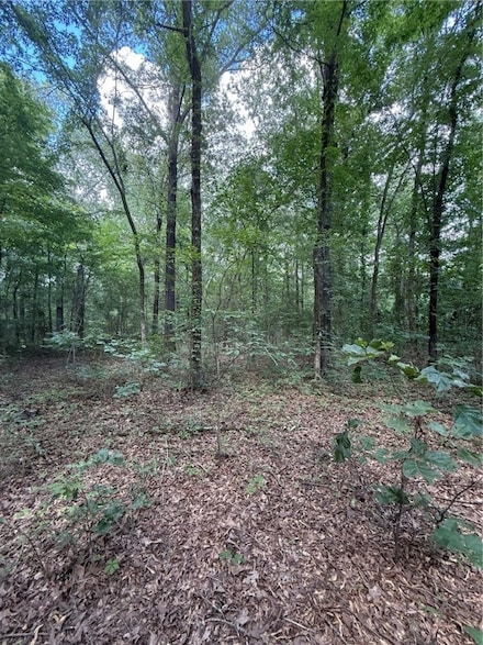 0 U S Highway 64, Atkins, AR 72823
