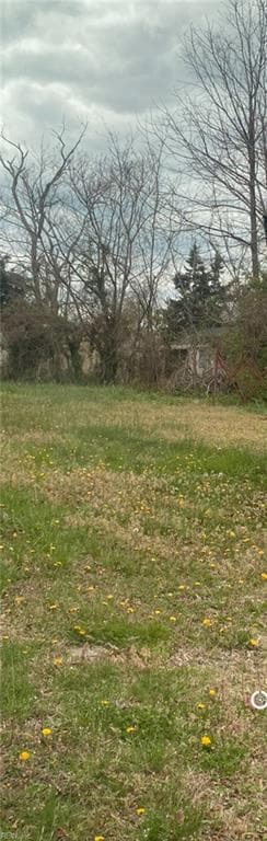 508 Doswell St, Blackstone, VA 23824