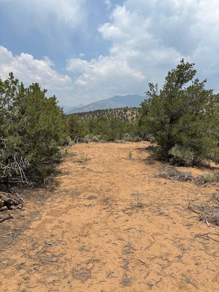 LOT 5 Canon Ct, Taos, NM 87571