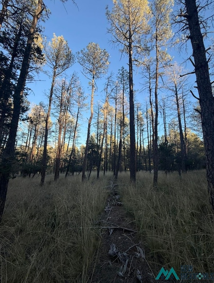 Lot 6 Pine Rd, Timberon, NM 88350