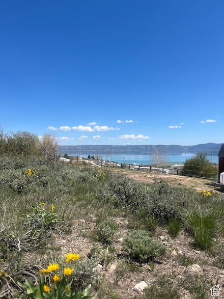 374 Bear Lake Ln Unit 43, Fish Haven, ID 83287