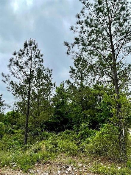 661 Timber Creek Trails South Xl, Broken Bow, OK 74728