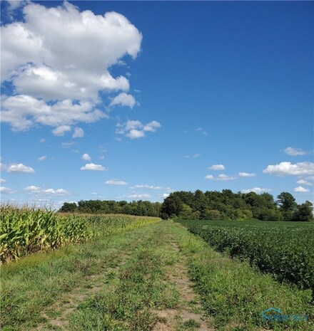 0 County Road 12 Unit 6069114, Holgate, OH 43527