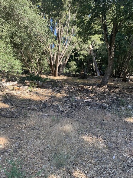 0 W Incense Cedar Rd Unit 33 210017886, Julian, CA 92036