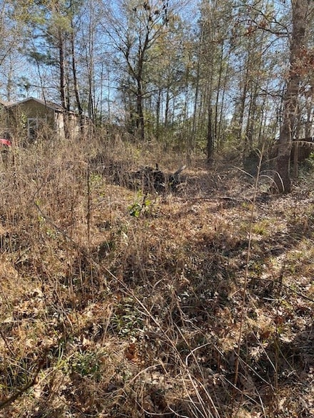 2276 Uvlade Dr, Cleveland, TX 77327