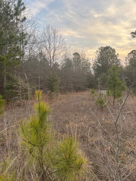 2515 County Road 43-402, Lakewood, SC 29150