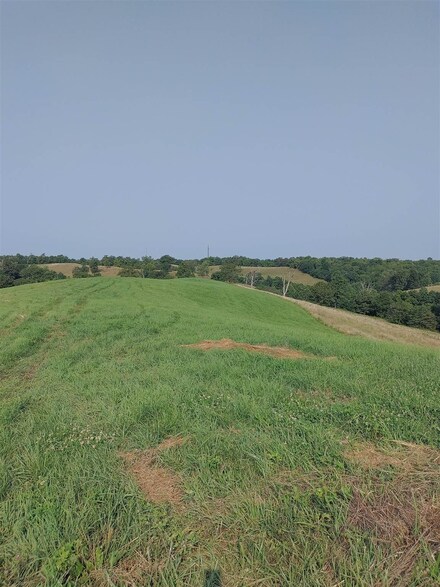 Tract #4 Stone Ln, Sadieville, KY 40370