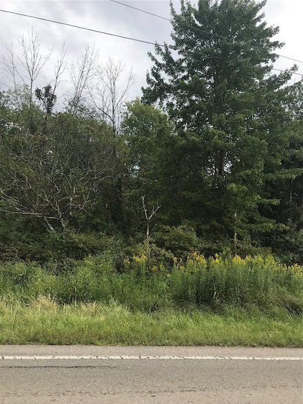 Lots 003-004 Kinsman Rd, Jamestown, PA 16134