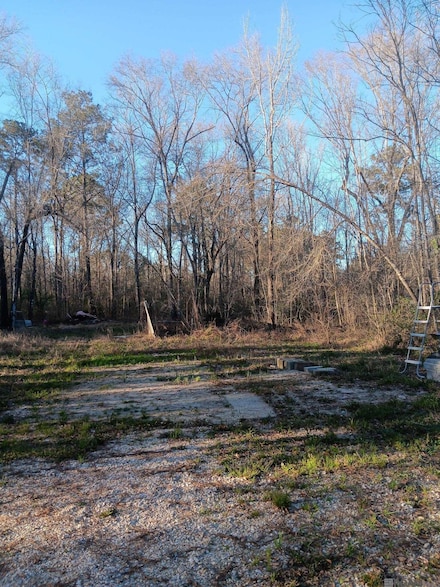 29189 Louisiana 40, Independence, LA 70443