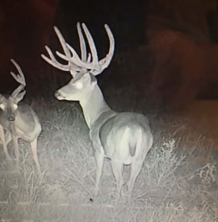 Near Speer Rd, Antlers, OK 74523