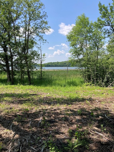1246 Island Lake Resort Dr, Island Lake Township, MN 56651