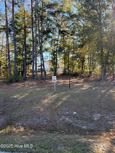 1536 Riverside Dr, Wrightsboro, NC 28401