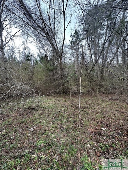 385 Shearwood Rd, Guyton, GA 31312