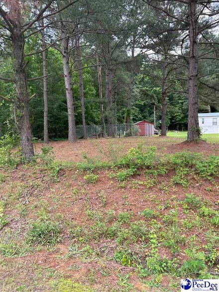 TBD Sam Jones Rd, Patrick, SC 29584