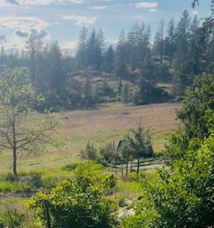 29511 N Schwachtgen Rd, Chattaroy, WA 99003