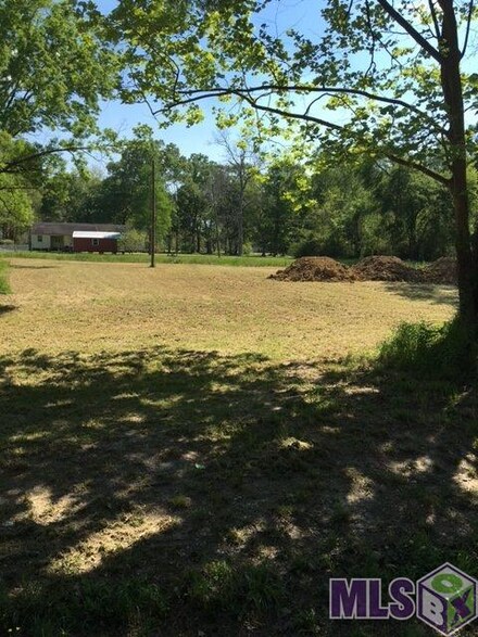 40013 Woodland Ave, Gonzales, LA 70737